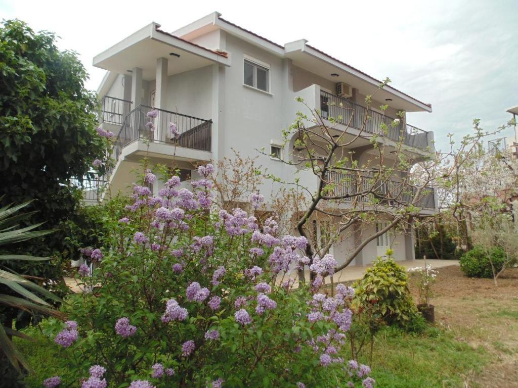 Apartments Macaso 巴尔 外观 照片